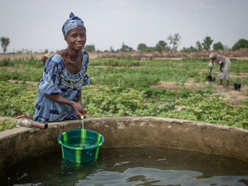 Militärmusikkonzert für Afrika Auf einem Gemüsefeld in Burkina Faso schöpft eine Frau Wasser mit einem grünen Plastikeimer aus einem Bewässerungsbrunnen.